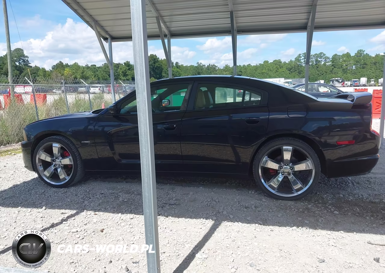 2011 Dodge Charger R-T VIN:2B3CL5CT2BH610442 - 14