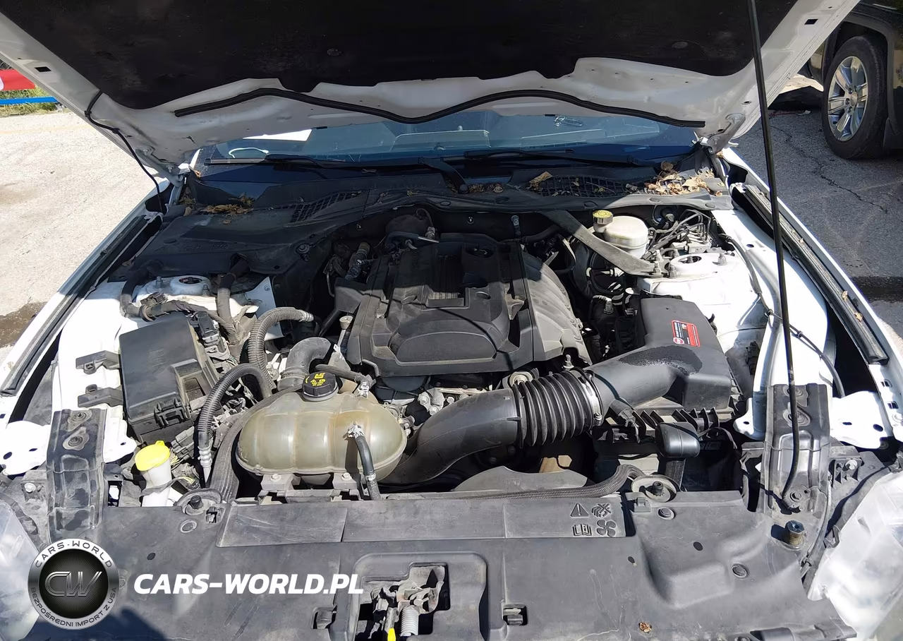 2019 Ford Mustang Ecoboost Premium VIN:1FATP8UH2K5171089 - 10