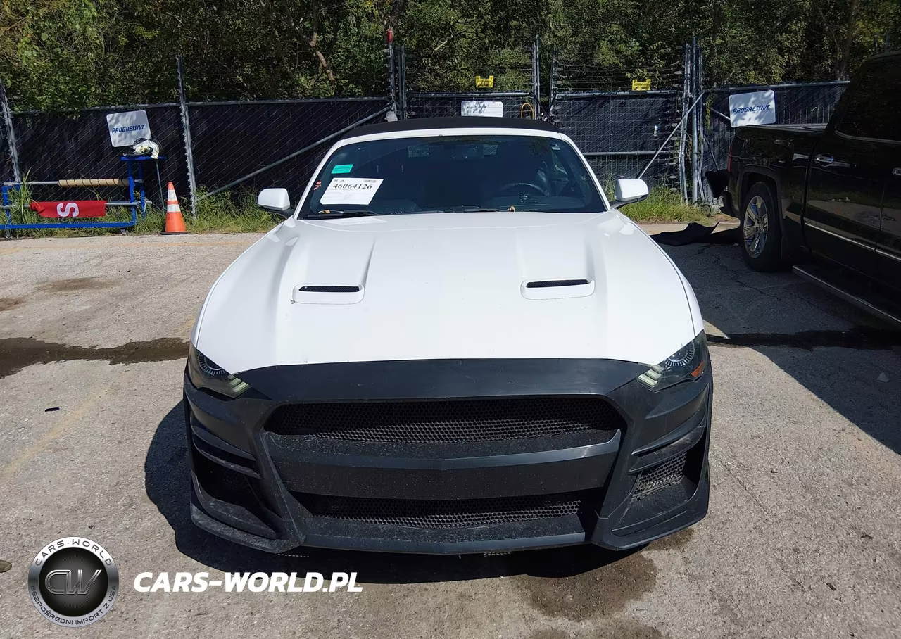 2019 Ford Mustang Ecoboost Premium VIN:1FATP8UH2K5171089 - 12