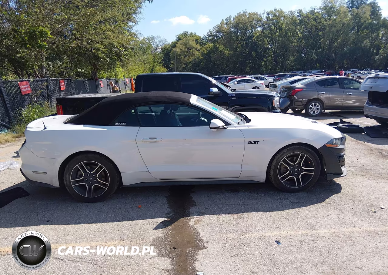 2019 Ford Mustang Ecoboost Premium VIN:1FATP8UH2K5171089 - 13