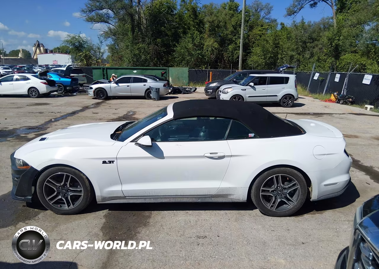 2019 Ford Mustang Ecoboost Premium VIN:1FATP8UH2K5171089 - 14