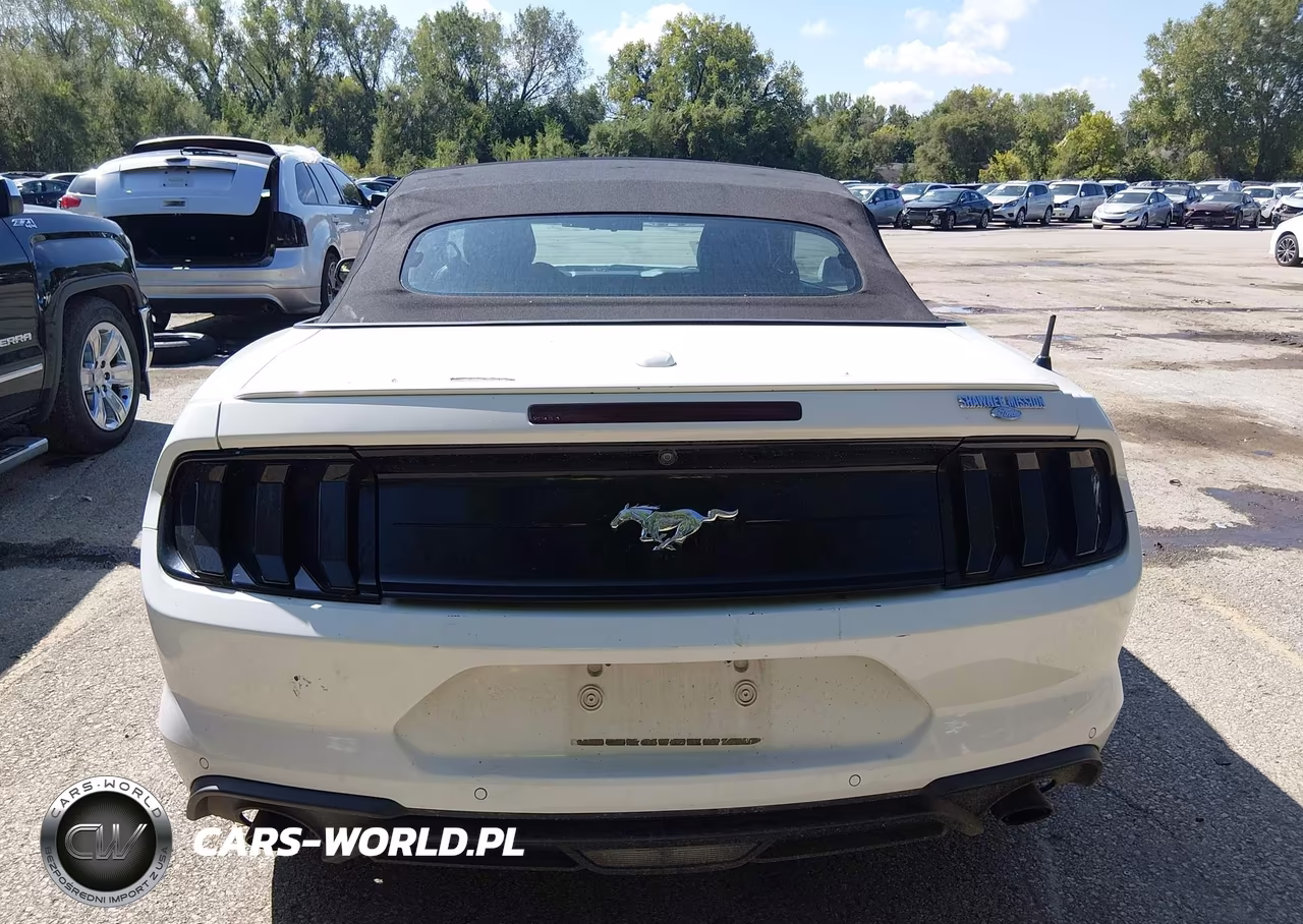 2019 Ford Mustang Ecoboost Premium VIN:1FATP8UH2K5171089 - 16