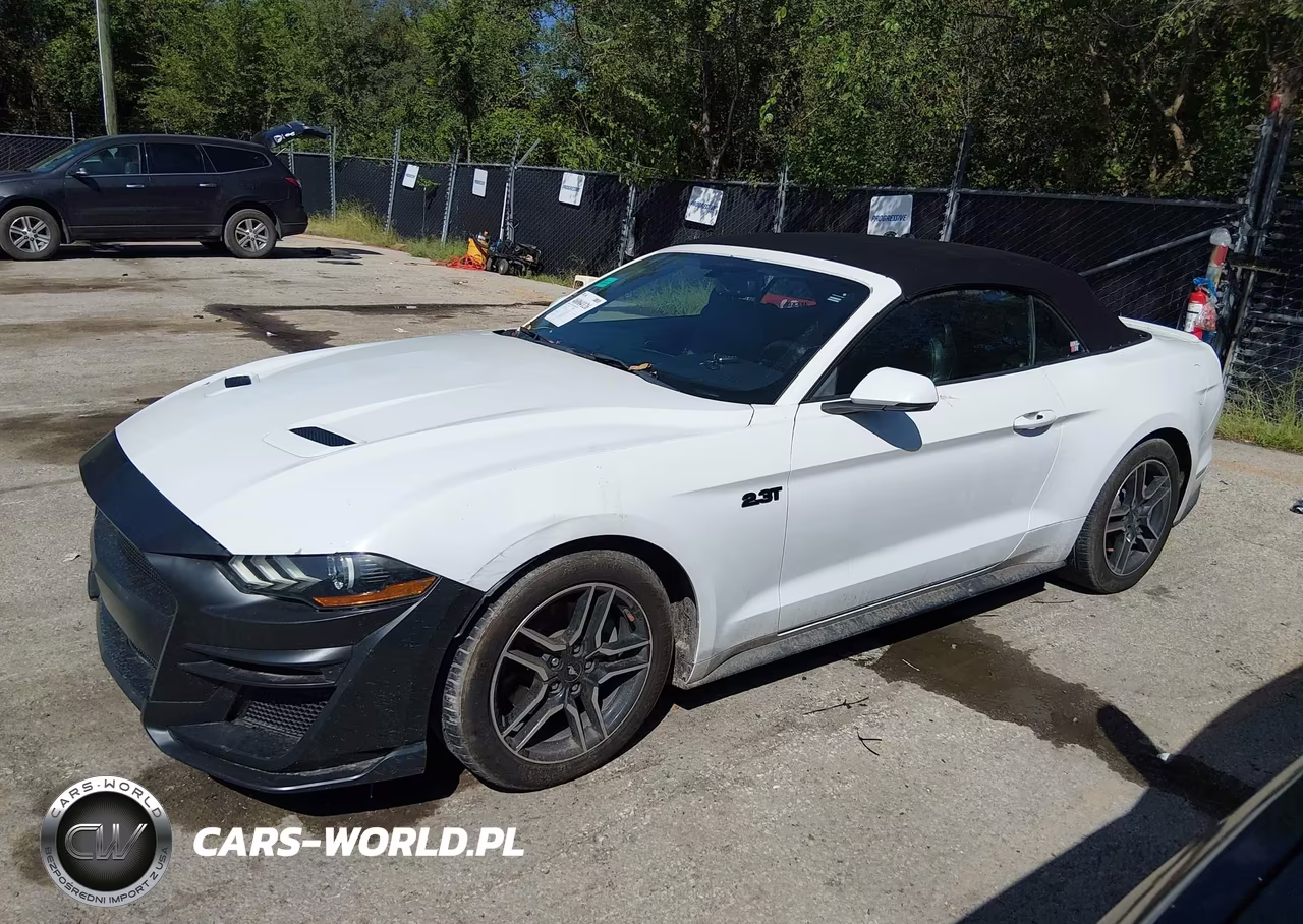 2019 Ford Mustang Ecoboost Premium VIN:1FATP8UH2K5171089 - 2