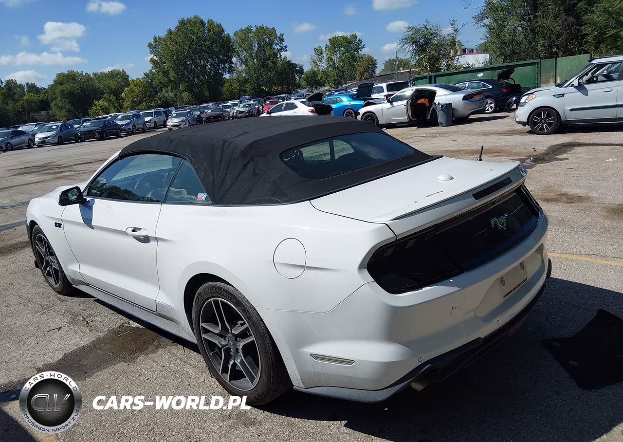2019 Ford Mustang Ecoboost Premium VIN:1FATP8UH2K5171089 - 3