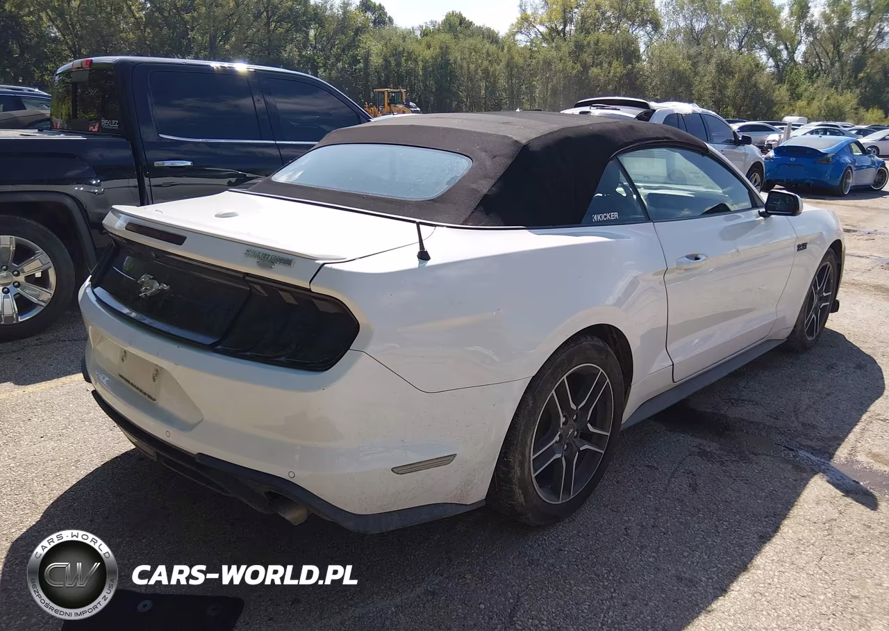 2019 Ford Mustang Ecoboost Premium VIN:1FATP8UH2K5171089 - 4