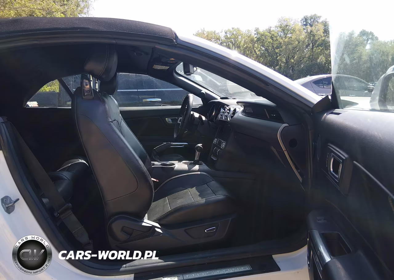 2019 Ford Mustang Ecoboost Premium VIN:1FATP8UH2K5171089 - 5
