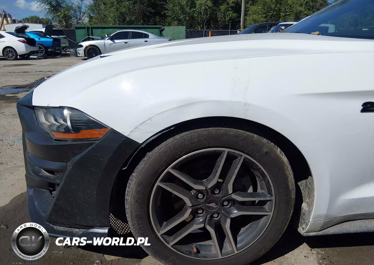 2019 Ford Mustang Ecoboost Premium VIN:1FATP8UH2K5171089 - 6