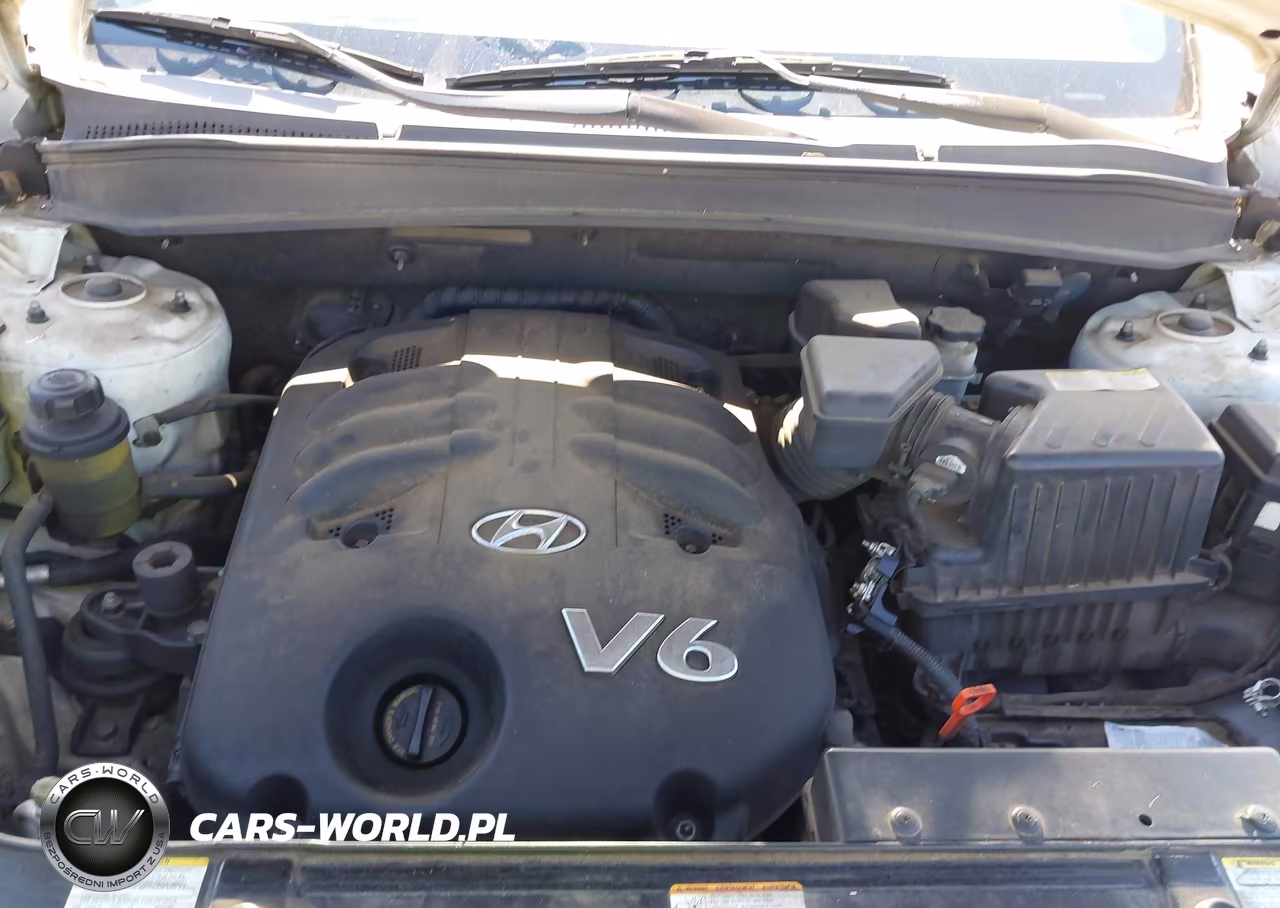 2007 Hyundai Santa Fe Limited-Se VIN:5NMSH13E27H109505 - 10