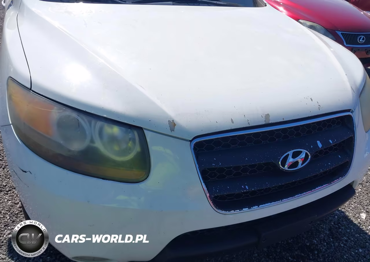 2007 Hyundai Santa Fe Limited-Se VIN:5NMSH13E27H109505 - 6