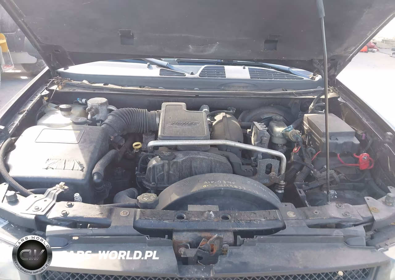 2008 Chevrolet Trailblazer Fleet VIN:1GNDT13S982103744 - 10