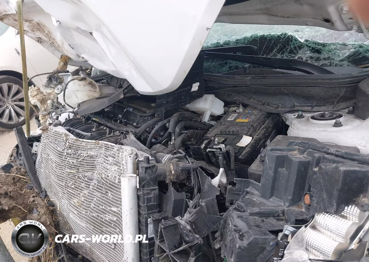 2024 Hyundai Santa Cruz Sel VIN:5NTJCDDE5RH108821 - 10