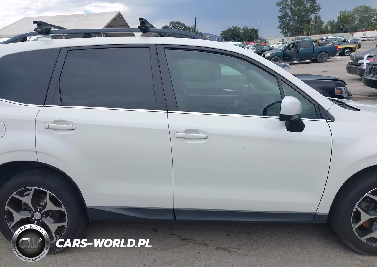 2016 Subaru Forester 2.0Xt Premium VIN:JF2SJGDC4GH490992 - 13