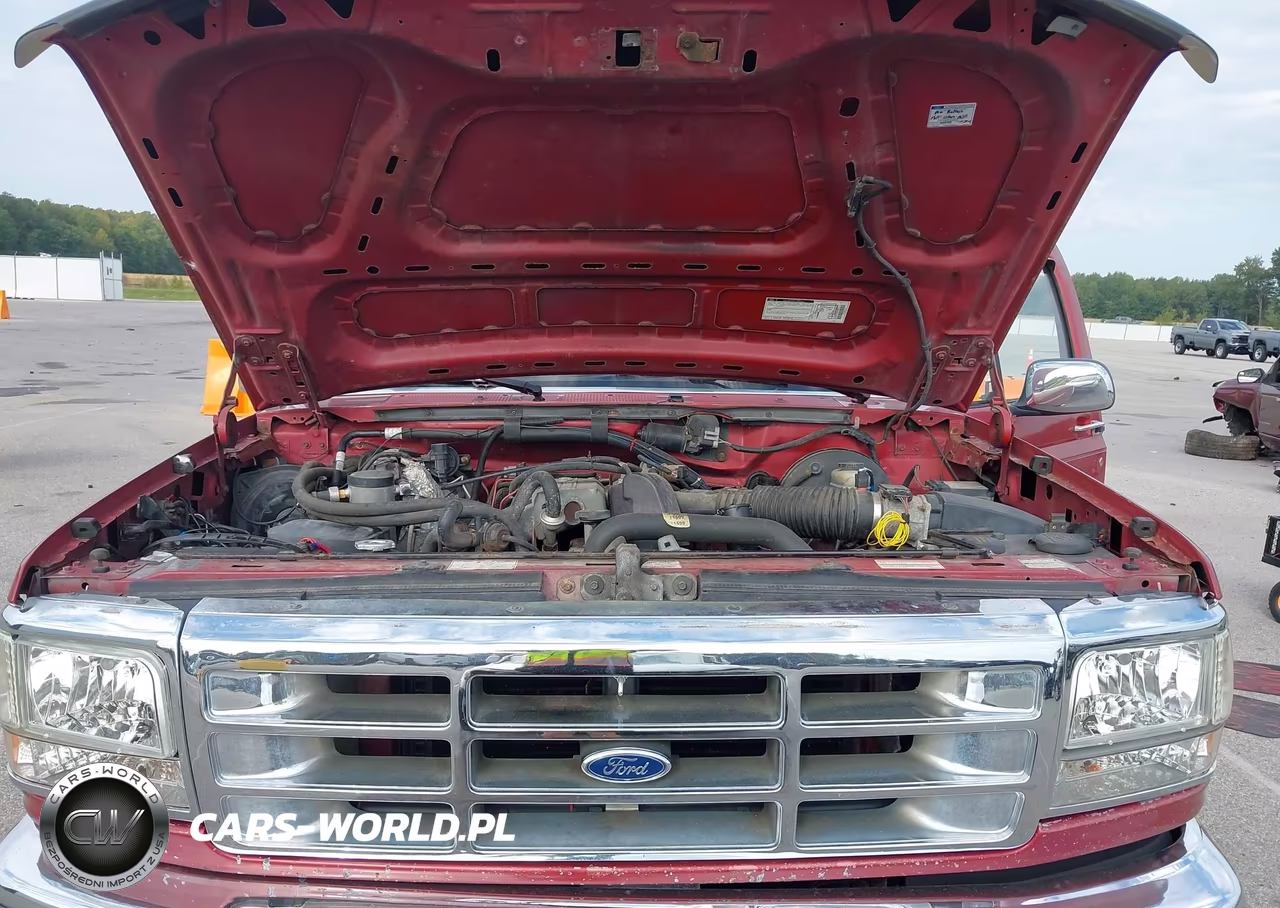 1996 Ford F150 VIN:1FTEF15Y2TLA63869 - 10