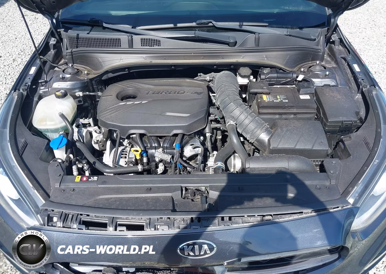 2020 Kia Forte Gt VIN:3KPF44AC1LE212920 - 10