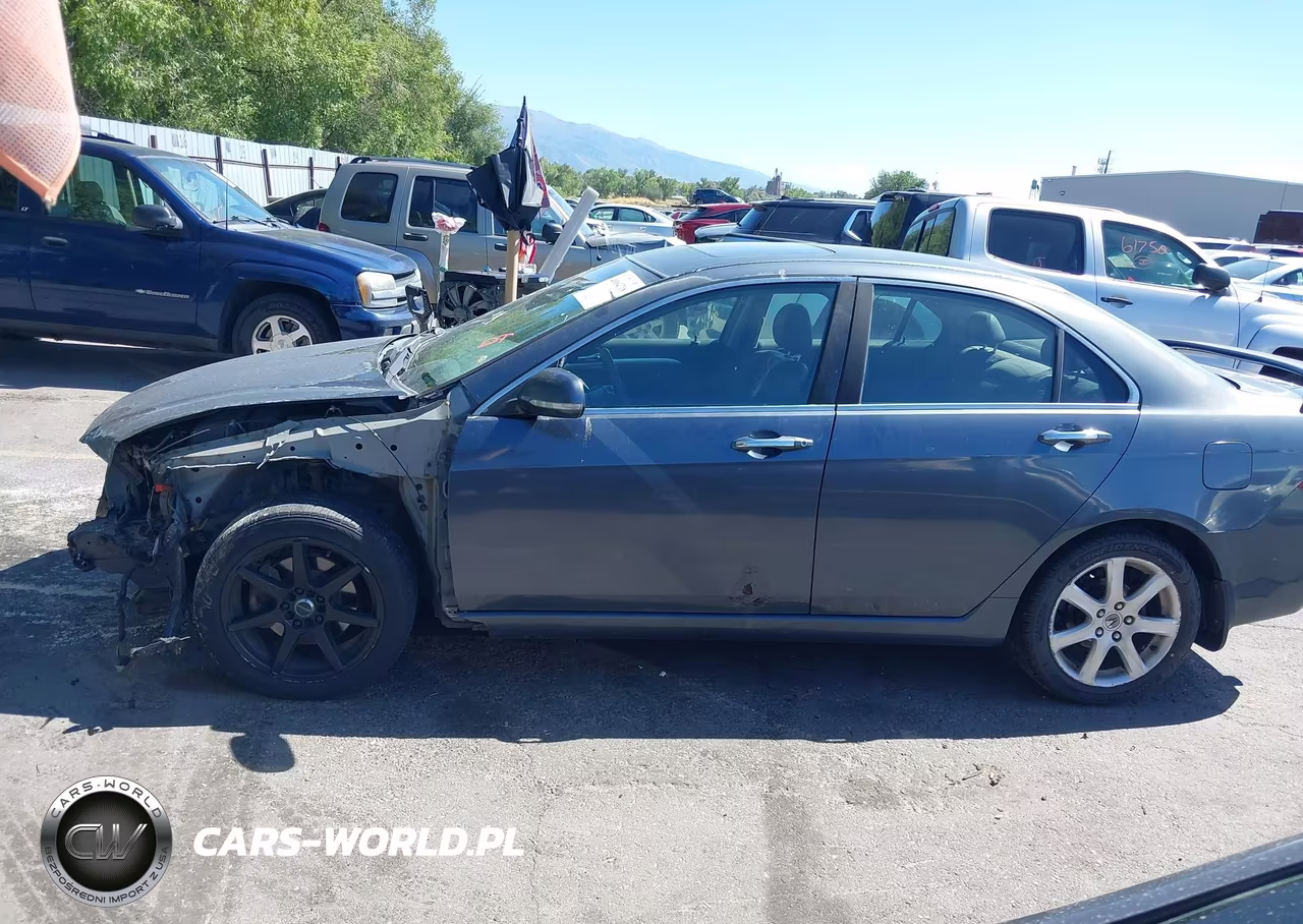 2004 Acura Tsx VIN:JH4CL96924C033213 - 15