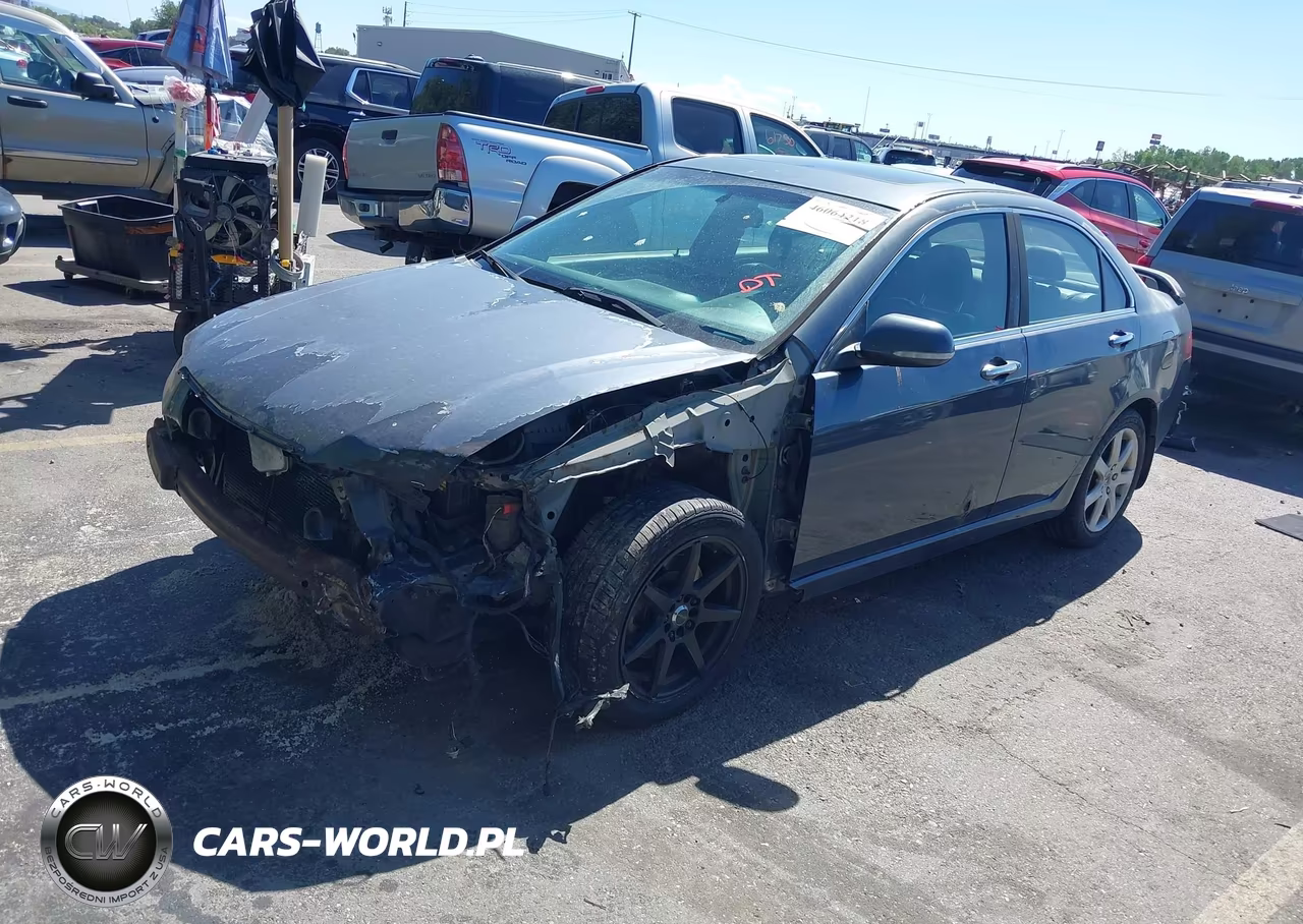 2004 Acura Tsx VIN:JH4CL96924C033213 - 2