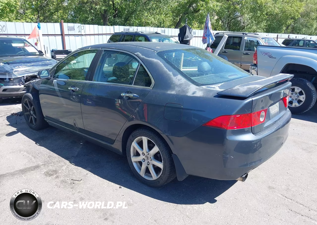2004 Acura Tsx VIN:JH4CL96924C033213 - 3