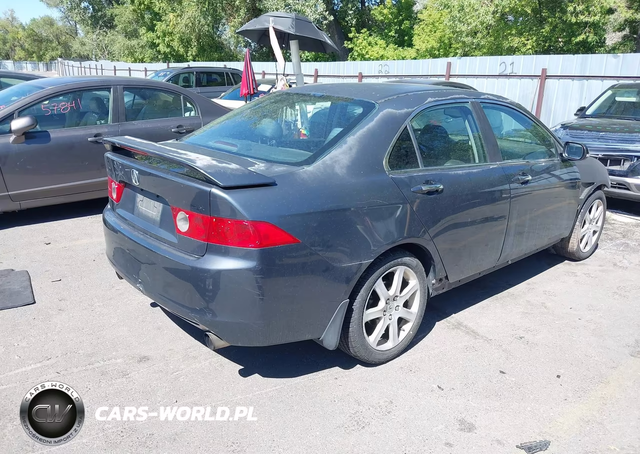 2004 Acura Tsx VIN:JH4CL96924C033213 - 4