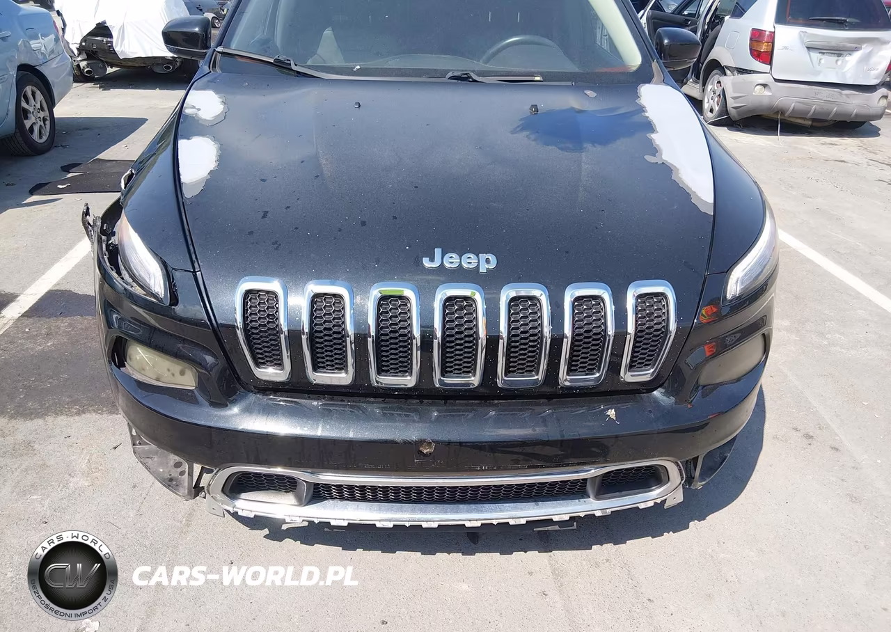 2016 Jeep Cherokee Limited VIN:1C4PJLDB2GW247651 - 12