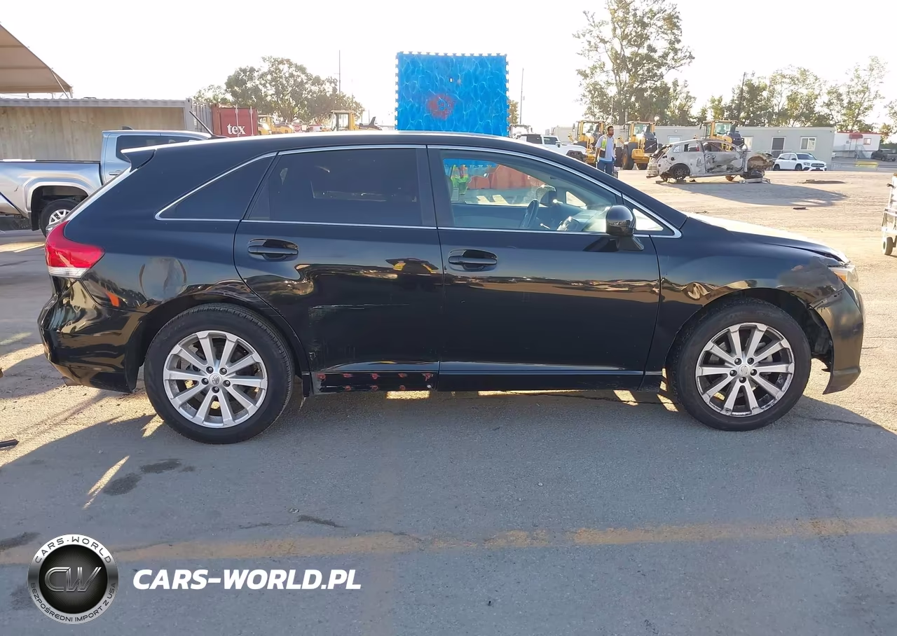 2010 Toyota Venza VIN:4T3ZA3BB8AU030591 - 13