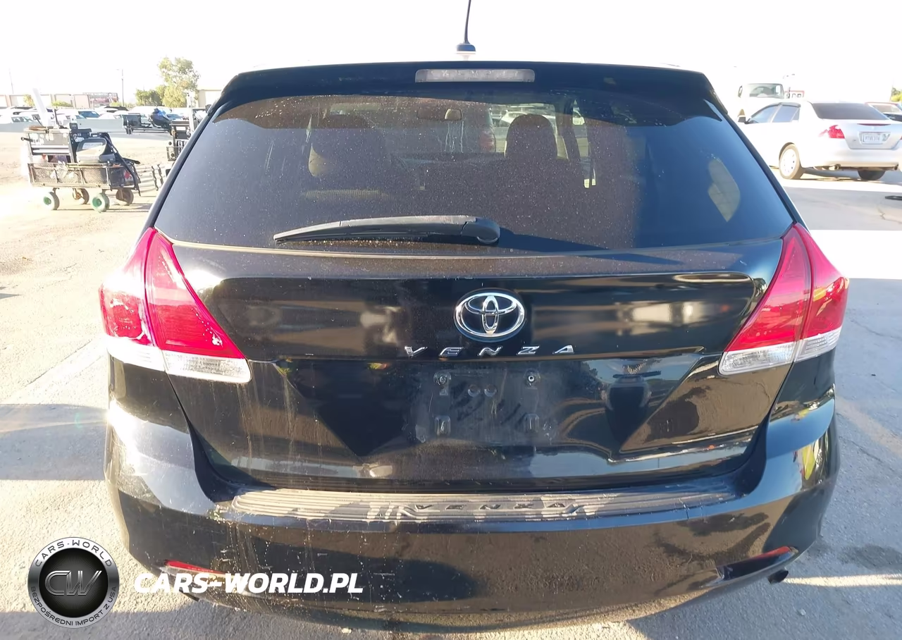 2010 Toyota Venza VIN:4T3ZA3BB8AU030591 - 16