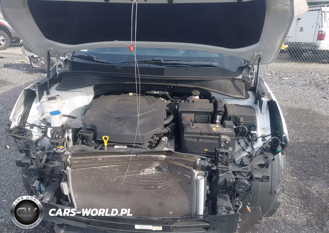 2019 Kia Sorento 3.3L Ex VIN:5XYPHDA50KG475248 - 10