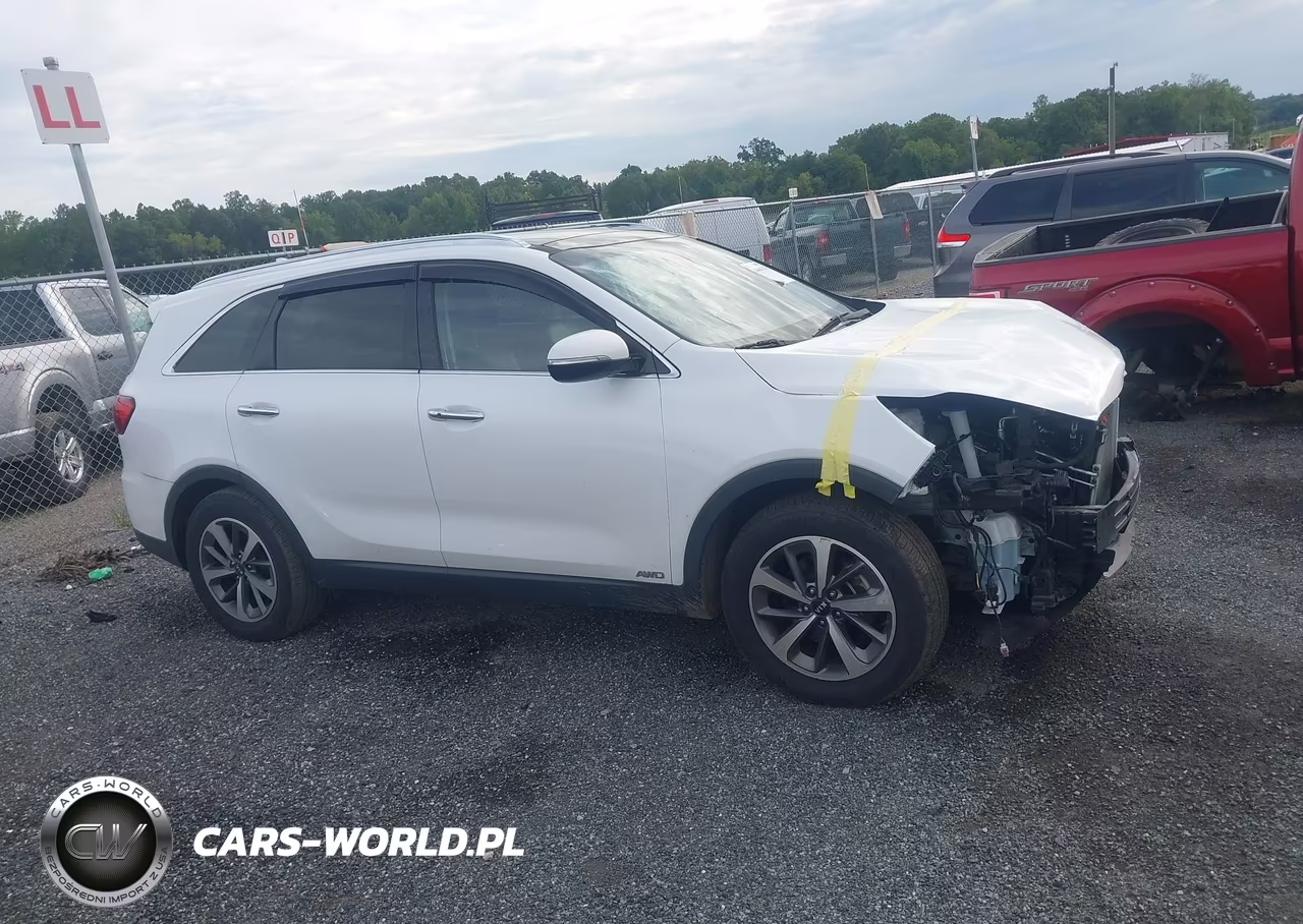2019 Kia Sorento 3.3L Ex VIN:5XYPHDA50KG475248 - 13