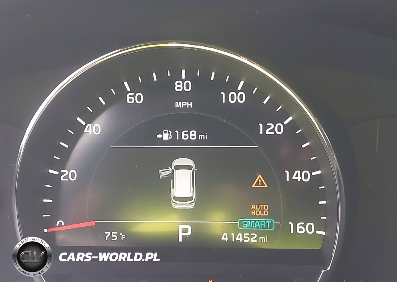 2019 Kia Sorento 3.3L Ex VIN:5XYPHDA50KG475248 - 15