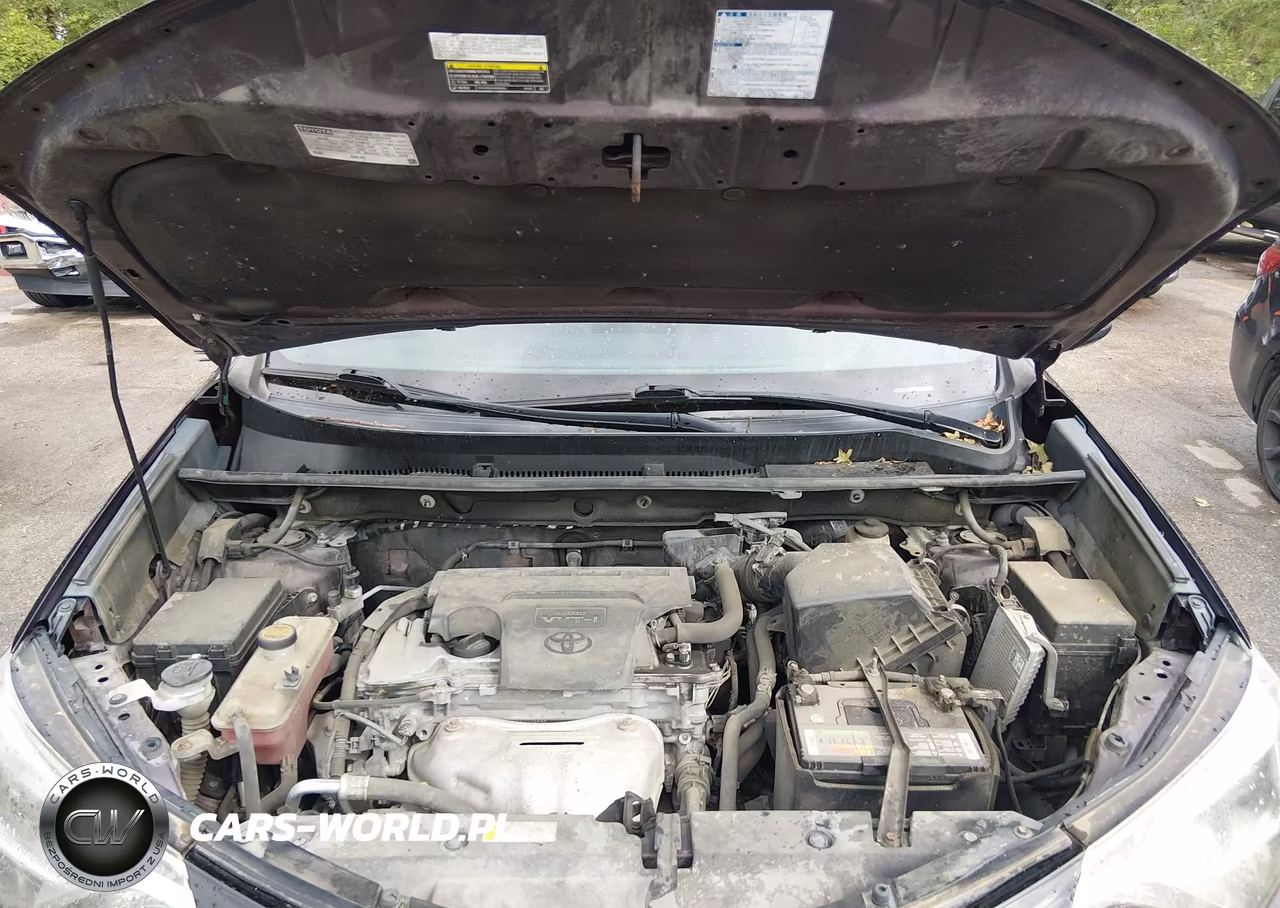 2016 Toyota Rav4 Se VIN:2T3NFREV8GW246880 - 10