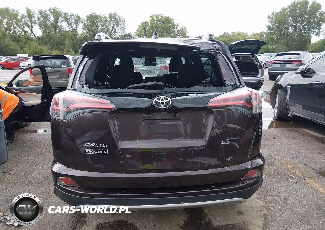 2016 Toyota Rav4 Se VIN:2T3NFREV8GW246880 - 17