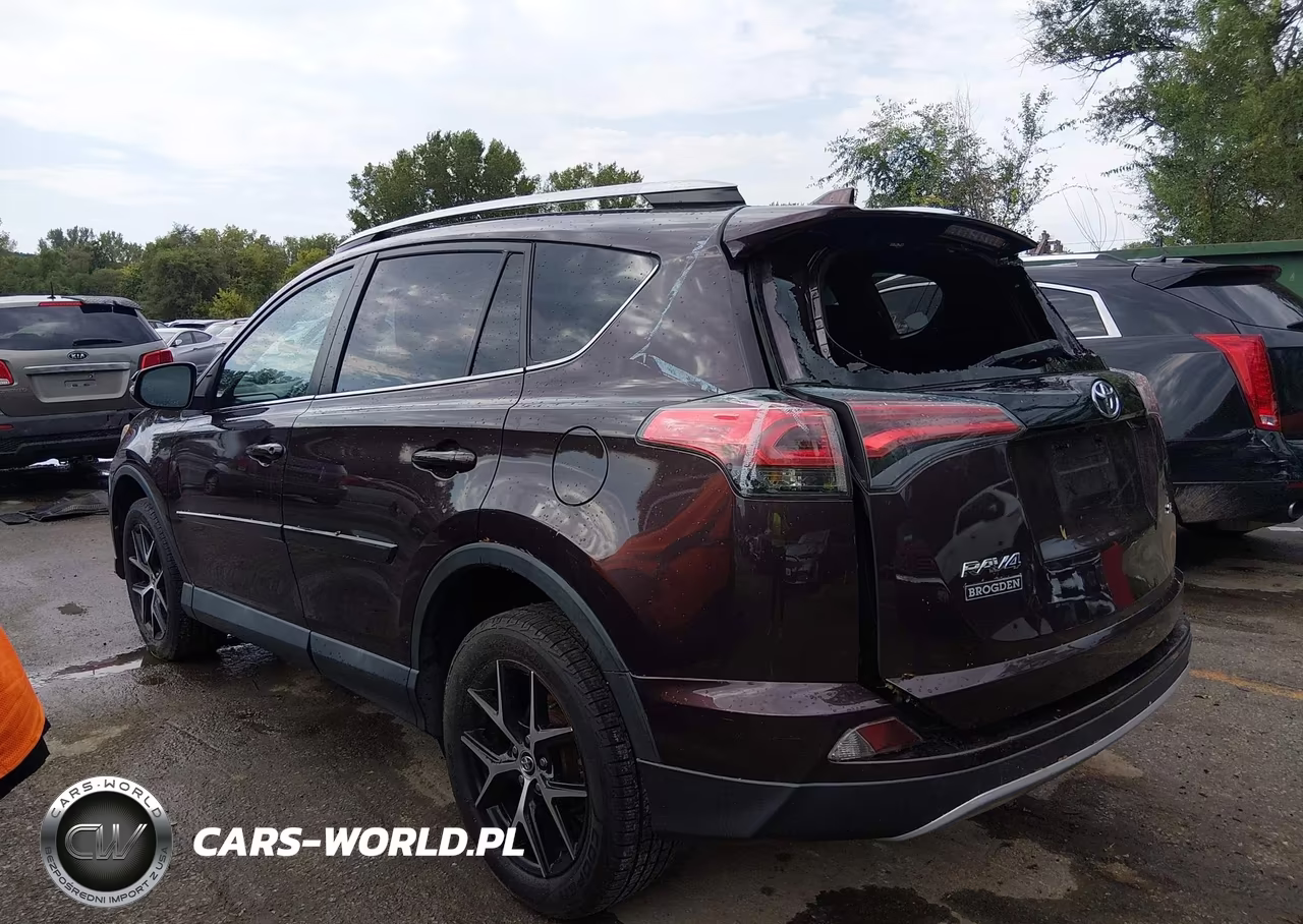 2016 Toyota Rav4 Se VIN:2T3NFREV8GW246880 - 3