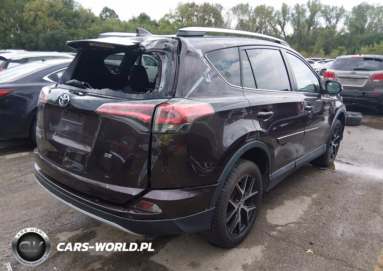 2016 Toyota Rav4 Se VIN:2T3NFREV8GW246880 - 4