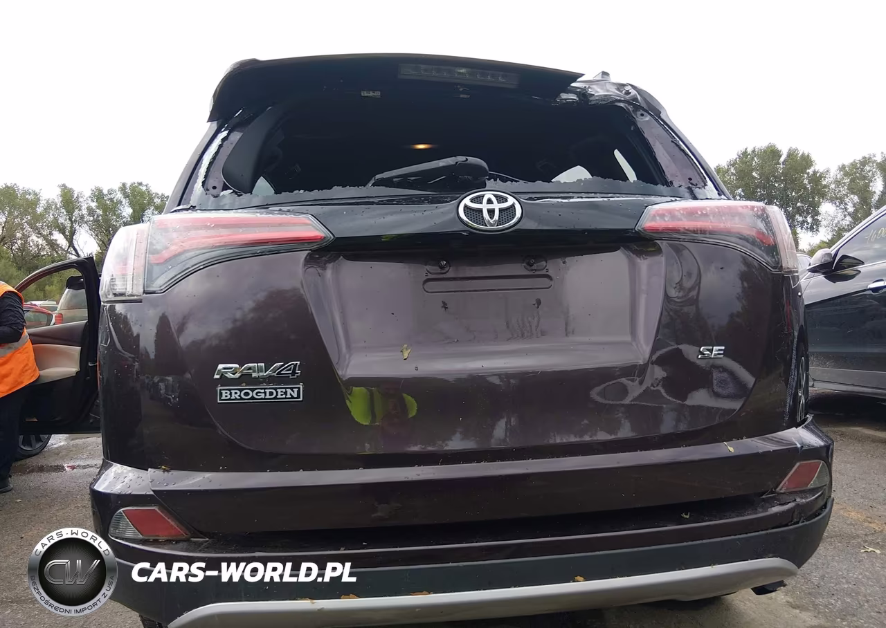 2016 Toyota Rav4 Se VIN:2T3NFREV8GW246880 - 6