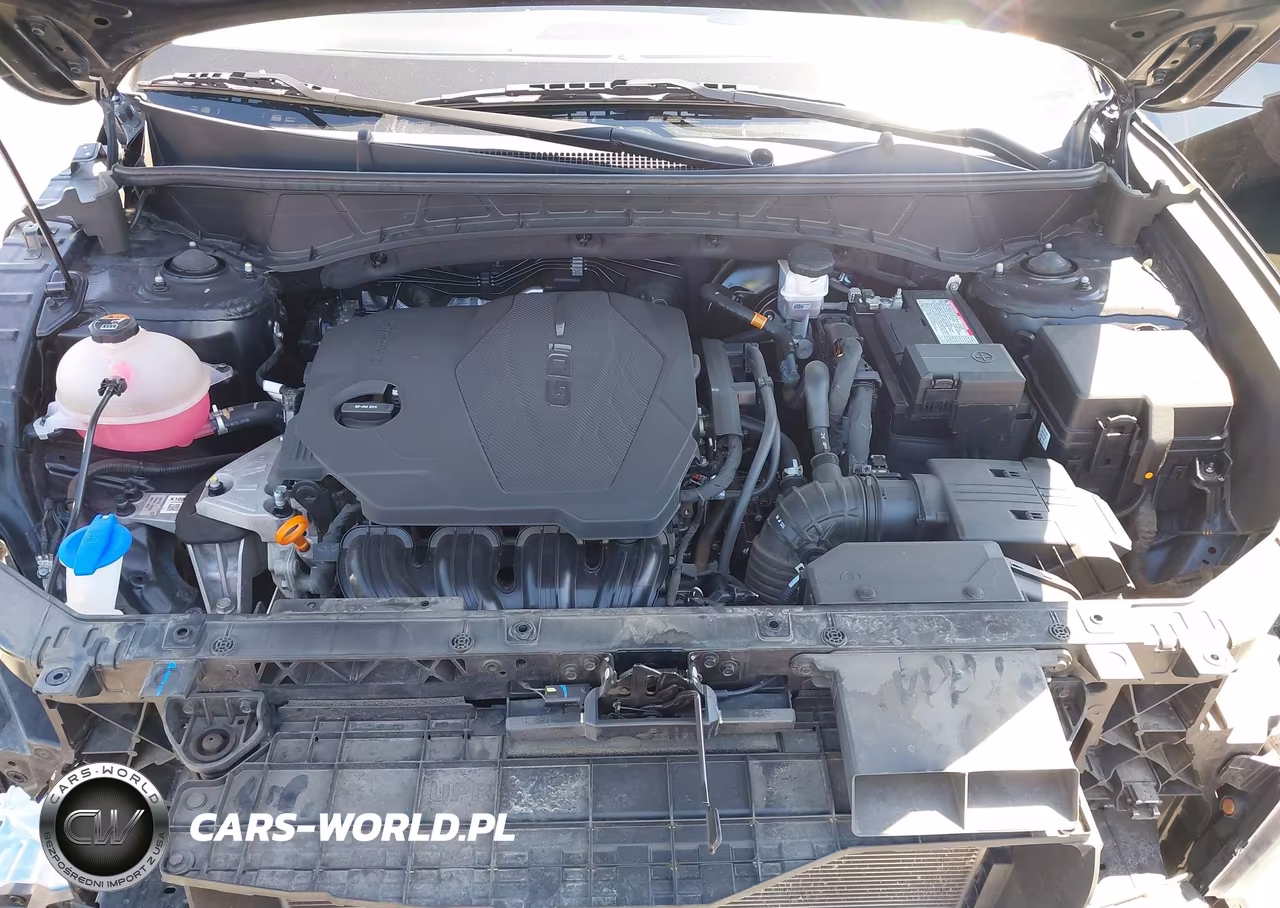 2024 Hyundai Tucson Sel VIN:5NMJB3DE8RH346137 - 10