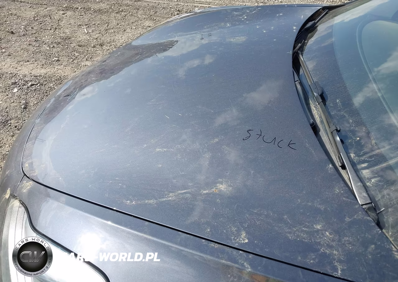 2023 Tesla Model 3 Rear-Wheel Drive VIN:5YJ3E1EA1PF669363 - 10