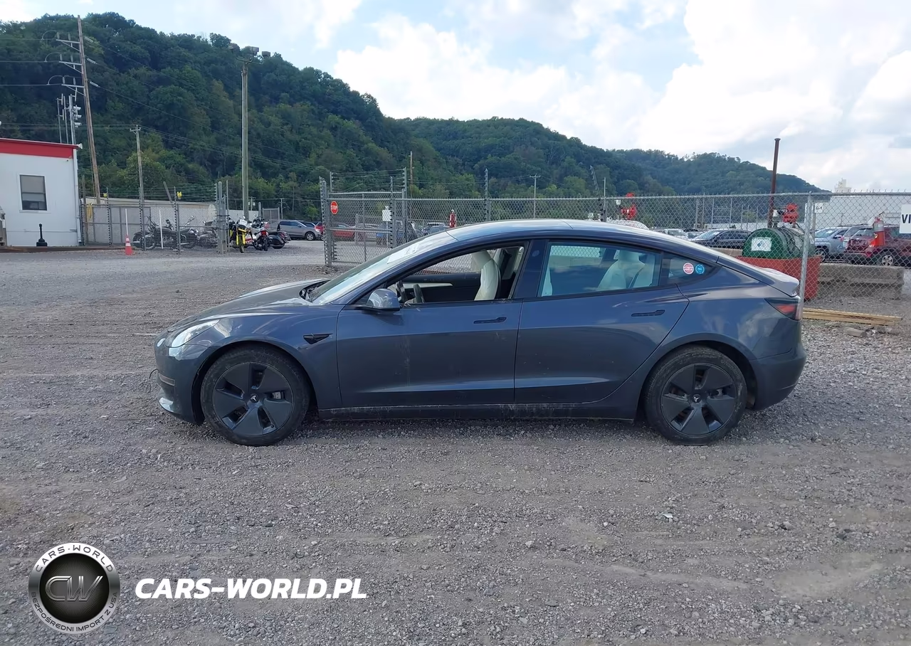 2023 Tesla Model 3 Rear-Wheel Drive VIN:5YJ3E1EA1PF669363 - 13
