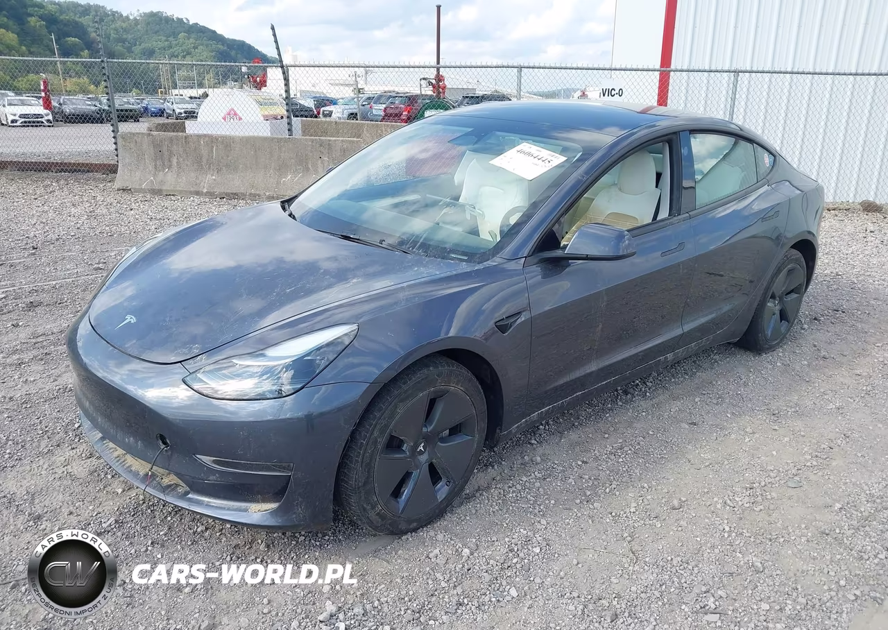 2023 Tesla Model 3 Rear-Wheel Drive VIN:5YJ3E1EA1PF669363 - 2