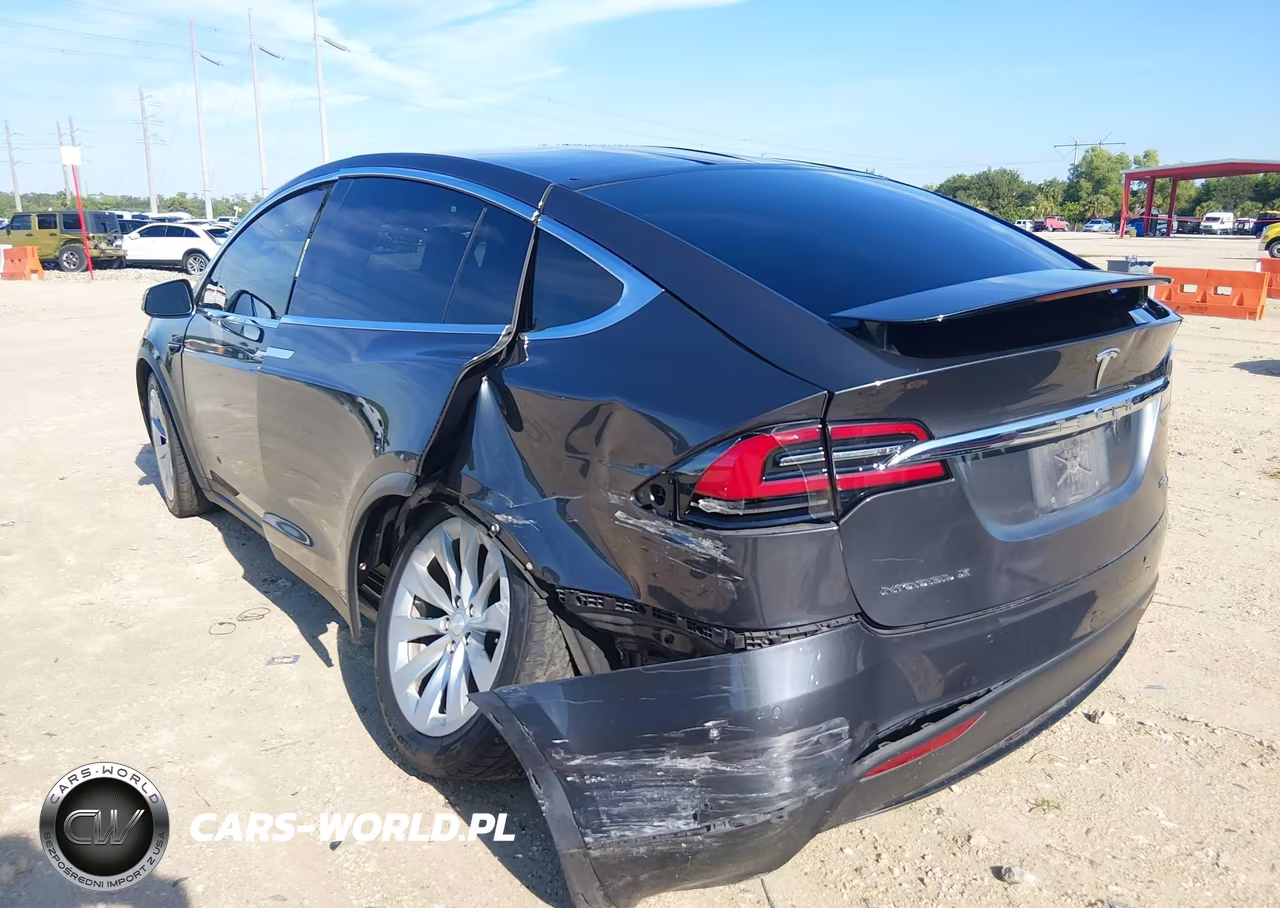 2018 Tesla Model X 100D-75D-P100D VIN:5YJXCBE21JF120100 - 6