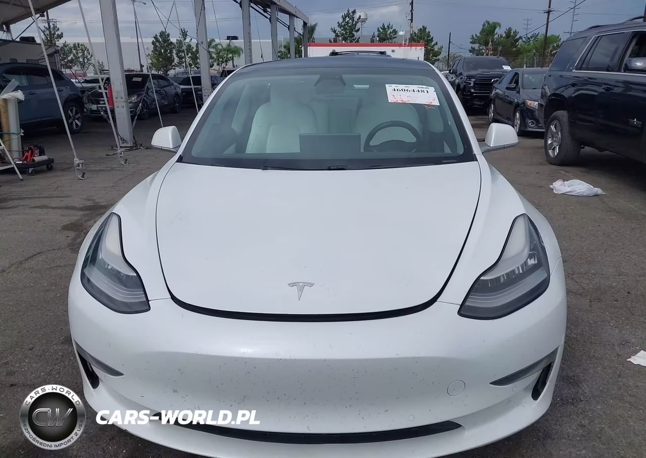 2020 Tesla Model 3 Standard Range Plus Rear-Wheel Drive-Standard Range Rear-Wheel Drive VIN:5YJ3E1EA6LF741118 - 11