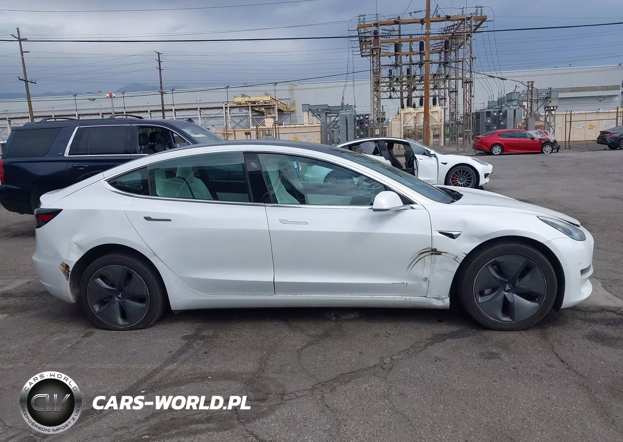 2020 Tesla Model 3 Standard Range Plus Rear-Wheel Drive-Standard Range Rear-Wheel Drive VIN:5YJ3E1EA6LF741118 - 12