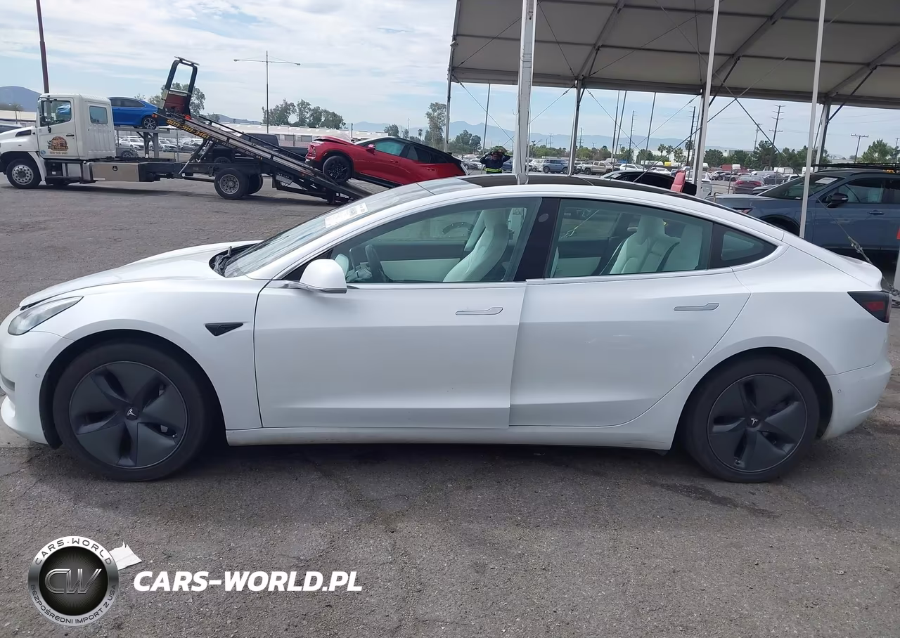 2020 Tesla Model 3 Standard Range Plus Rear-Wheel Drive-Standard Range Rear-Wheel Drive VIN:5YJ3E1EA6LF741118 - 13