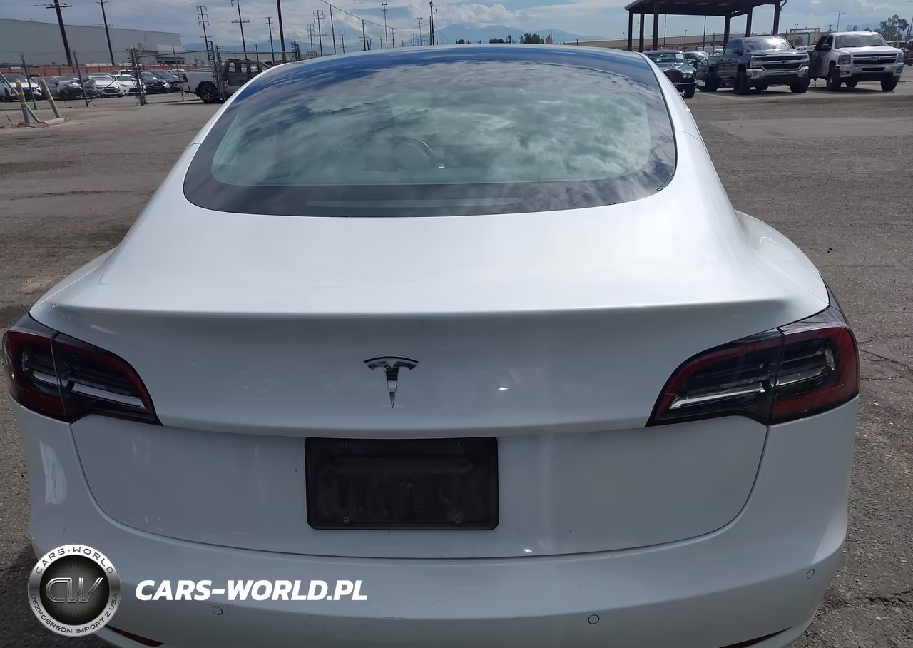 2020 Tesla Model 3 Standard Range Plus Rear-Wheel Drive-Standard Range Rear-Wheel Drive VIN:5YJ3E1EA6LF741118 - 15