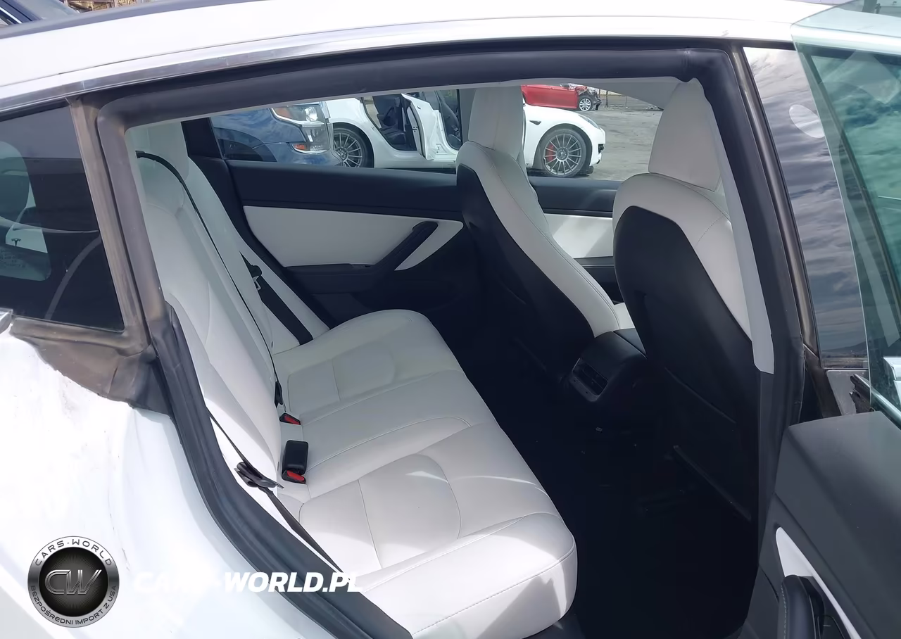2020 Tesla Model 3 Standard Range Plus Rear-Wheel Drive-Standard Range Rear-Wheel Drive VIN:5YJ3E1EA6LF741118 - 8