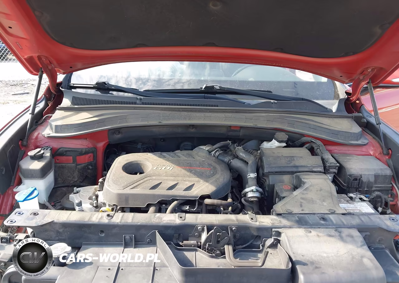 2020 Hyundai Santa Fe Sel 2.0T VIN:5NMS3CAA4LH172464 - 10