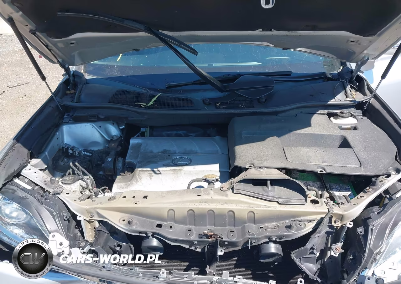 2013 Lexus Rx 350 VIN:2T2BK1BA2DC188364 - 10