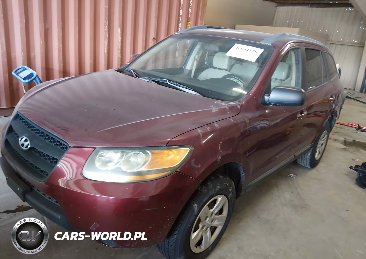 2009 Hyundai Santa Fe Gls VIN:5NMSG13D49H230047 - 2