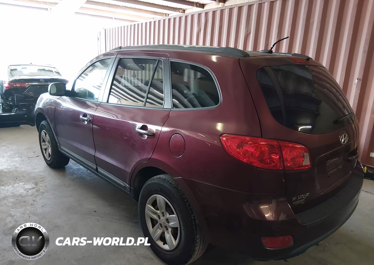2009 Hyundai Santa Fe Gls VIN:5NMSG13D49H230047 - 3