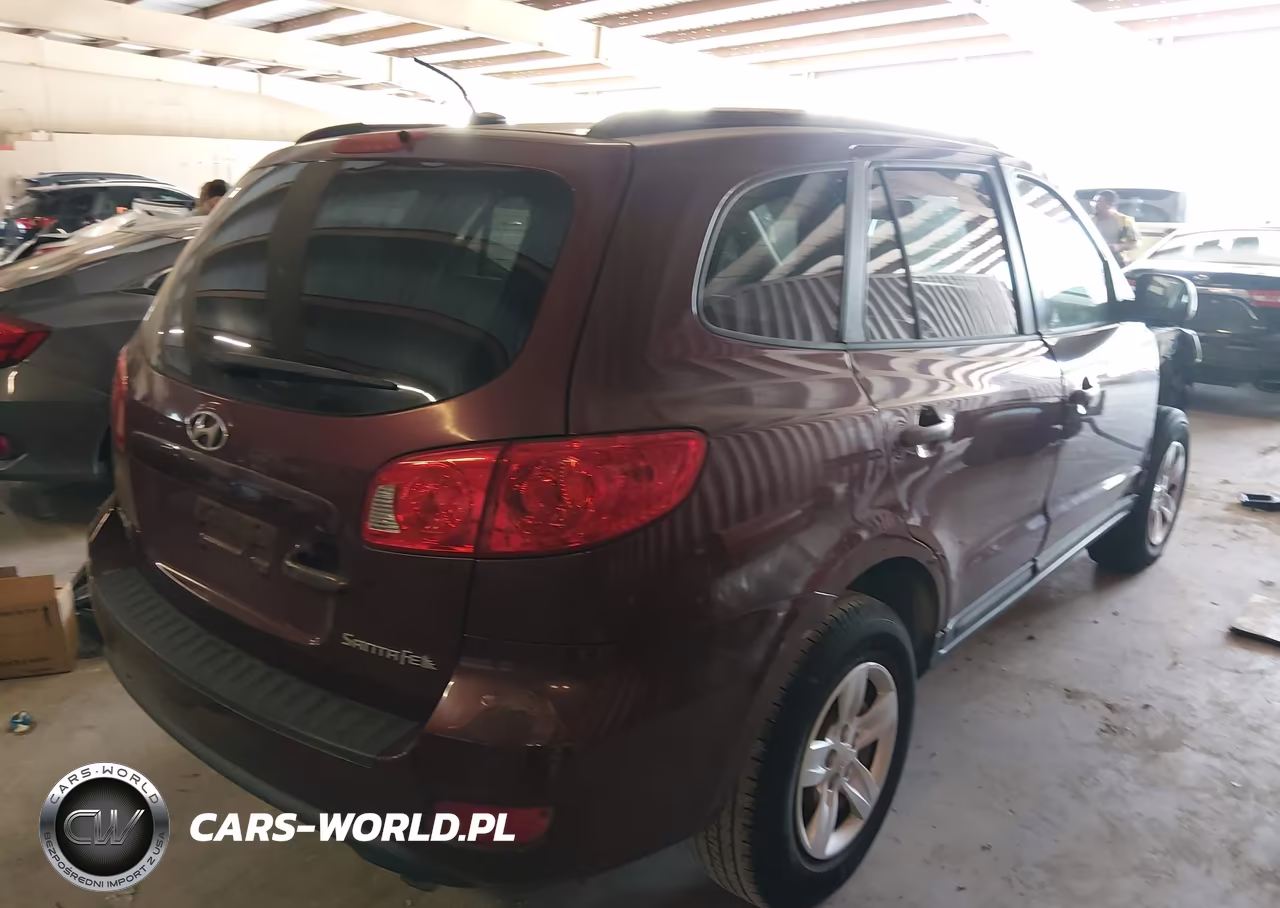 2009 Hyundai Santa Fe Gls VIN:5NMSG13D49H230047 - 4