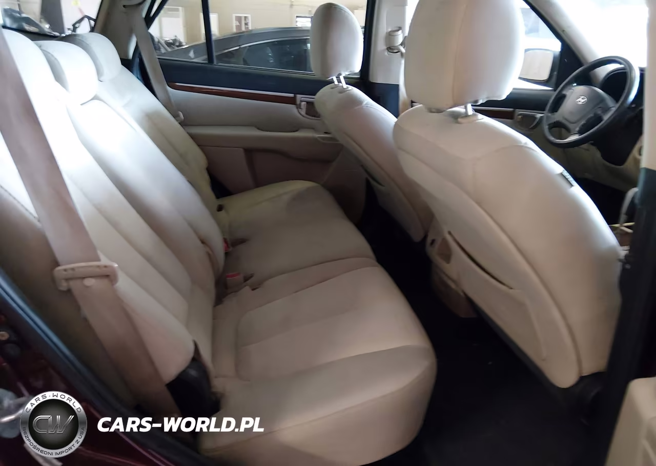 2009 Hyundai Santa Fe Gls VIN:5NMSG13D49H230047 - 8