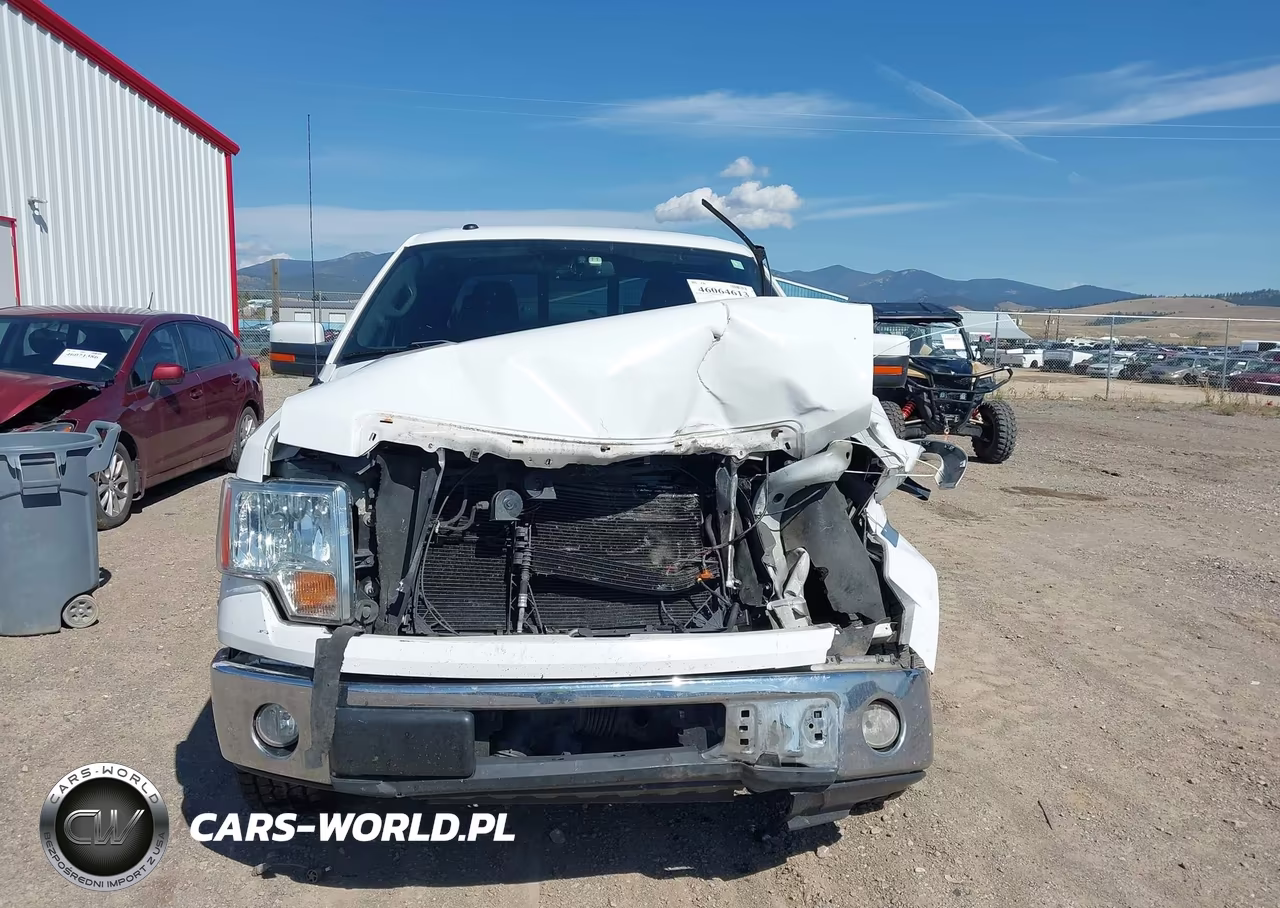 2010 Ford F-150 Fx2 Sport-Lariat-Xl-Xlt VIN:1FTFX1CV9AFB49430 - 13